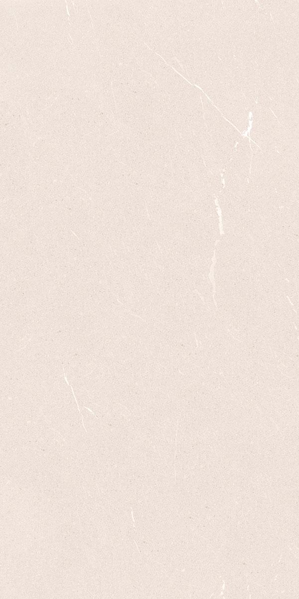 STELLAR BISQUE