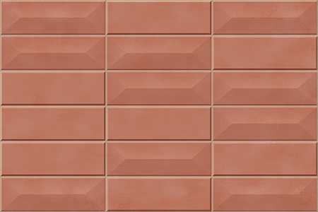 5551