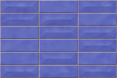 5559